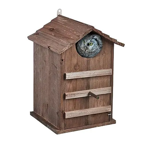 Produktbild: Relaxdays Eulen Nistkasten, Tannenholz, Einflugloch H x B: 9,5 x 9,5 cm, aufklappbar, Vogelhaus zum Aufhängen, braun, 1 Stück