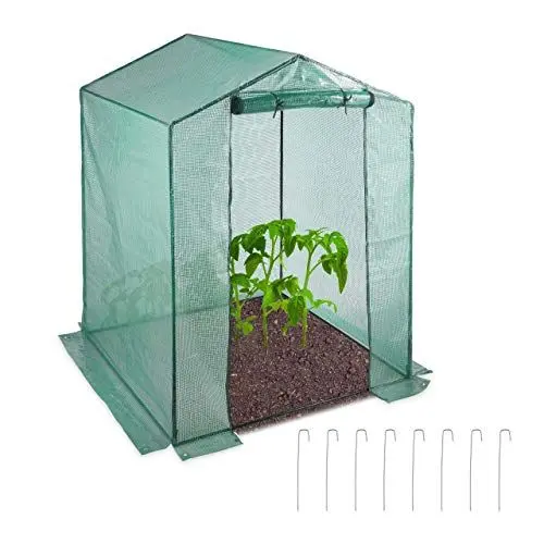 Produktbild: Relaxdays Foliengewächshaus, begehbar, Tür, Balkon & Garten, Stecksystem, Tomatengewächshaus, HBT: 200x155x155 cm, grün