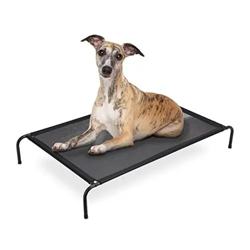 Produktbild: Relaxdays Hundeliege Outdoor, erhöhtes Hundebett bis 50 kg, HBT 23,5x154x95 cm, Hunde Feldbett Garten & Camping, schwarz