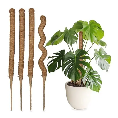 Produktbild: Relaxdays Kokosstäbe im 5er Set, biegsame Pflanzenstäbe, für Monstera, Efeutute und mehr, 60 cm lang, Kokosfaser, Natur