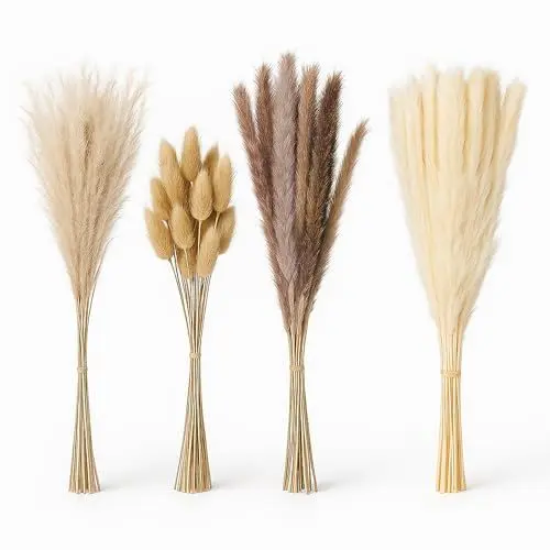 Produktbild: Relaxdays Pampasgras getrocknet, 144er Set, Länge: 41 cm, Trockenblumen, Boho Deko, Trockenblumenstrauß, Mehrfarbig