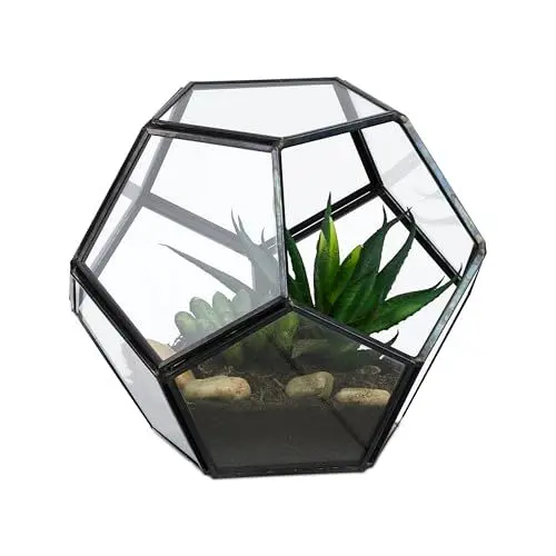 Produktbild: Relaxdays Pflanzenterrarium, Glas & Zinn, Deko Glashaus für Kakteen & Moos, offener Glaskasten für Fensterbank, schwarz