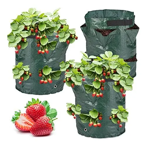 Produktbild: Relaxdays Pflanzsack 3er Set, Erdbeerpflanzgefäße, mit Bodenlöchern, 2 Henkel, Kunststoff, HxD: 44 x 33 cm, dunkelgrün