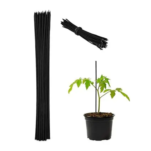 Produktbild: Relaxdays Pflanzstäbe, 50er Set, HxD 30 x 0,5 cm, Rankhilfe für Jungpflanzen, mit Bindedraht, Bambusstäbe, schwarz