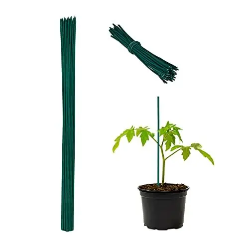 Produktbild: Relaxdays Pflanzstäbe Bambus, 50er Set, HxD: 90 x 0,6 cm, Rankhilfe für Pflanzen, Bambusstäbe mit Bindedraht, dunkelgrün