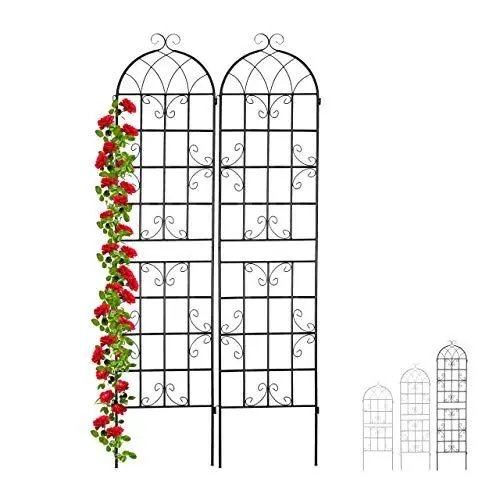 Produktbild: Relaxdays Rankgitter Metall, 2er Set, zum Stecken, Rankhilfe für Kletterpflanzen, 220 x 50 cm, Spalier Garten, schwarz, 10030852_1246