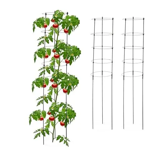 Produktbild: Relaxdays Rankhilfe, 3er Set, 5 Ringe, HxD 150x28 cm, Blumen & Nutzpflanzen, Metall und Kunststoff, Tomatenturm, schwarz