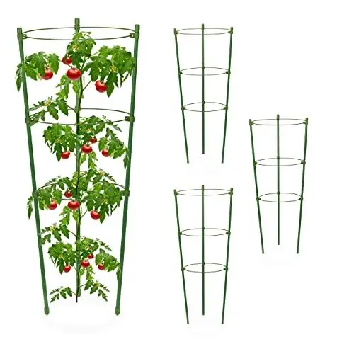 Produktbild: Relaxdays Rankhilfe, 4er Set, 3 Ringe, HxD: 45 x 18 cm, Blumen & Nutzpflanzen, Metall & Kunststoff, Pflanzenstütze, grün