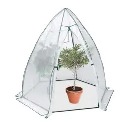 Produktbild: Relaxdays Überwinterungszelt, Foliengewächshaus, HBT: 185x180x160 cm, Winterschutz Pflanzen, Tür & Fenster, transparent