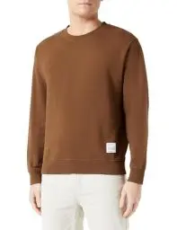 Produktbild: Replay Herren Sweatshirt aus Baumwolle, Sandal Wood 442 (Beige), L