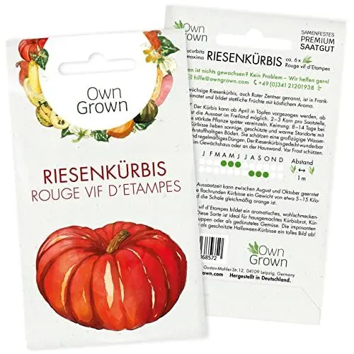 Produktbild: Riesenkürbis Samen: 6 Riesen Kürbis Samen zur Aussaat – Kürbis Pflanzen – Saatgut für die Riesenkürbis Pflanze – Samen Gemüse – OwnGrown Gemüse Samen