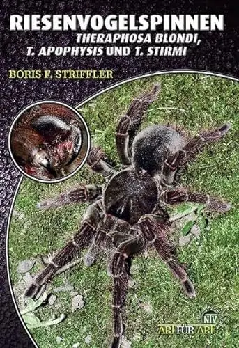 Produktbild: Riesenvogelspinnen: Theraphosa blondi, Theraphosa apophysis & Theraphosa stirmi: Theraphosa blondi & T. apophysis. Art für Art (Buchreihe Art für Art Terraristik)