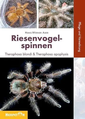 Produktbild: Riesenvogelspinnen: Theraphosa blondi & Theraphosa apophysis. Pflege und Vermehrung
