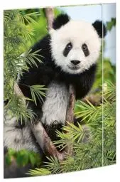 Produktbild: RNKVERLAG 45376 - Zeichenmappe Panda 310 x 440 mm, Dokumentenmappe für DIN A3, mit Gummizugverschluss, 1 Stück