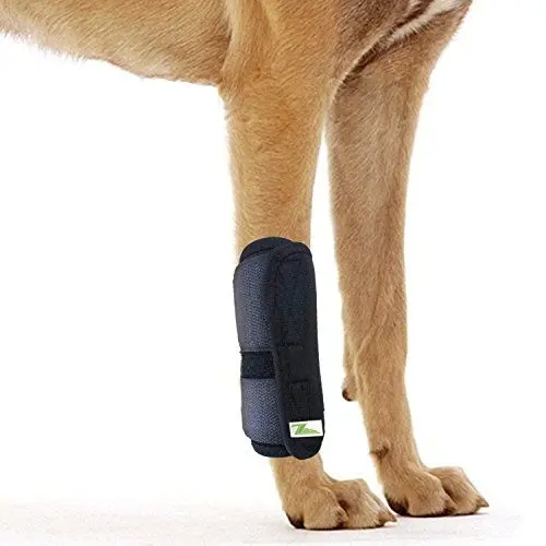 Produktbild: RockPet Gelenkbandage für das Vorderbein ihres Hundes (S/M)