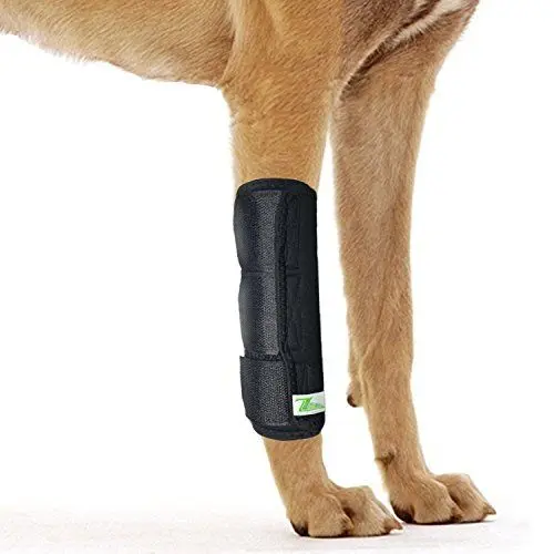 Produktbild: RockPet Gelenkbandage für das Vorderbein ihres Hundes (L/XL)