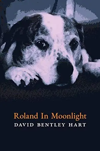 Produktbild: Roland in Moonlight