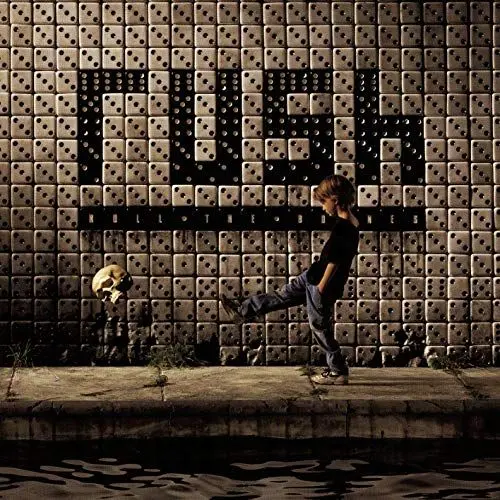 Produktbild: Roll the Bones