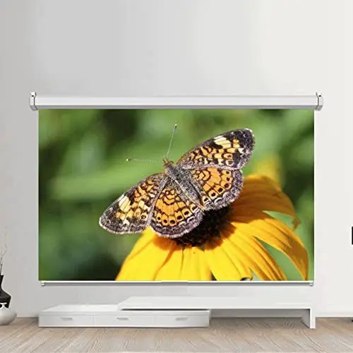 Produktbild: Rolloleinwand Beamer Leinwand, 50-120 Zoll Projektion Leinwand Faltbare Beamerleinwand,Tragbar Leinwand 16: 9 Heimkino Projektionsfläche für Outdoor-Camping-Film