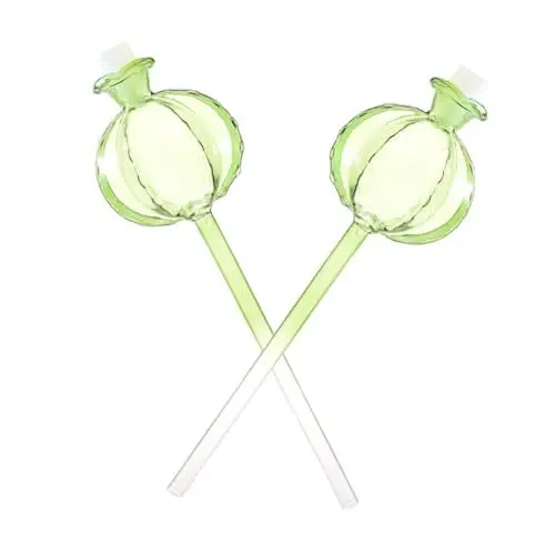 Produktbild: ROMISBABA 2St Kaktus-Blumenbewässerung giesskanne gießkanne plant watering dispenser bewässerung kit Wasserspitzen schöne geformte Bewässerungskugel Glas mit hohem Borosilikatgehalt Green