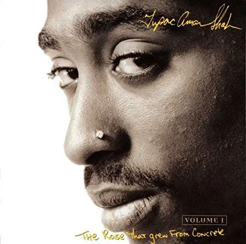 Produktbild: Rose That Grew from Concrete (2Pac Tribute)