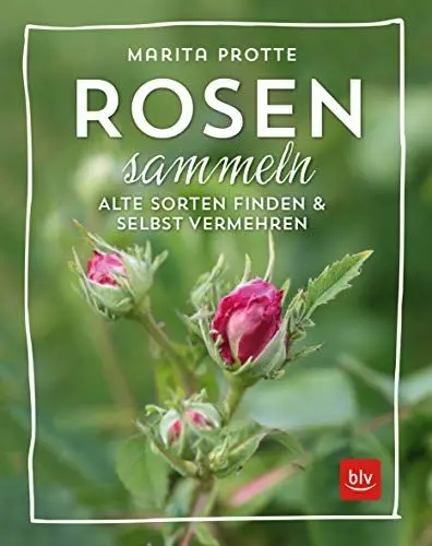 Produktbild: Rosen sammeln: Alte Rosen finden & vermehren (BLV Pflanzenpraxis)