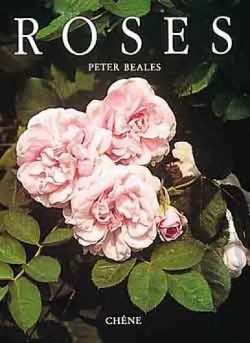 Produktbild: Roses