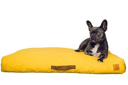 Produktbild: Roth & Bock - The German Pet Brand, Hundezubehör, Oeko-Tex Standard 100 orthopädisches Hundebett Soft Foam Hundebett mittelgroße Hunde, Hundebett Grosse Hunde, Hundebett waschbar Canvasstoff. Gelb, L