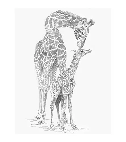 Produktbild: Royal & Langnickel - Sketching - Skizzieren leicht gemacht für Kinder ab 8 Jahren, das Bild mit Giraffe und Baby bietet den idealen Einstieg ins ausdrucksstarke Zeichnen
