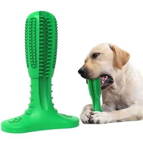 Produktbild: RUCACIO Hundespielzeug, Hundespielzeug, Langlebige Hundezahnbürste für Zahnreinigung, Hund Kauspielzeug für mittleren kleinen Hund, grün