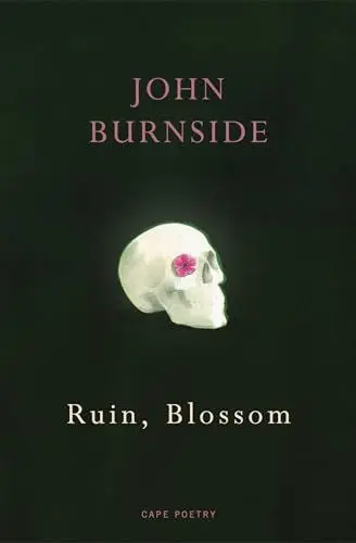 Produktbild: Ruin, Blossom: ‘A master of language’ Hilary Mantel