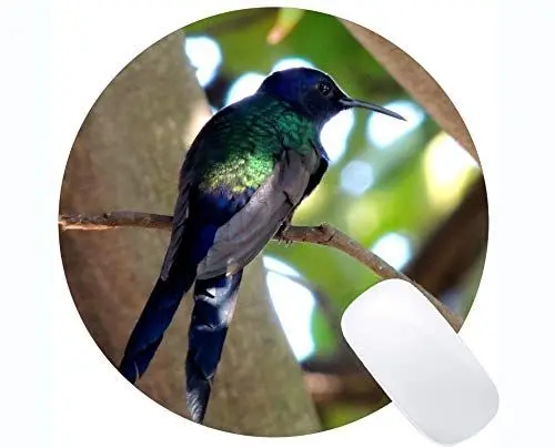 Produktbild: Runde Mausunterlage Fertigen Sie, Kolibri-Vogel paji Spiel-runde Mausunterlagen