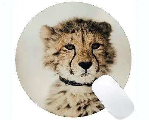 Produktbild: Runde Mausunterlage mit Rastkante, runde Mausunterlagen des Baby-Katzen-Familien-Leoparden