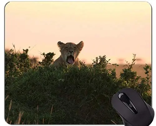 Produktbild: Rutschfeste Gummi-Gaming-Mausunterlage, rutschfeste Natur-Wild-Leopard-Gummiunterlage Mousepad