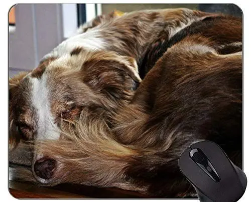 Produktbild: YENDOSTEEN rutschfeste Mausunterlage der Haustier-Schäfer-Terrier-Tier-, Hundemausunterlage-Matte