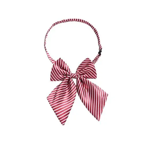 Produktbild: SAFIGLE 2St Zubehör für Abschlussanzüge abschlussgeschenk geschenke zur bowknot bowsette Verstellbarer Bow Tie Fliege Mädchen Anzug Passen Blumen erhalten Abschlusskleid Krawatte