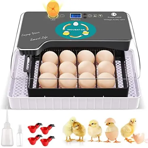Produktbild: Sailnovo Couveuse Oeuf Automatique 11 Oeufs, Incubateur Oeuf Automatique, Retournement Automatique des œufs, Surveillance de la Température, Incubateur d'œuf Couveuse Automatique