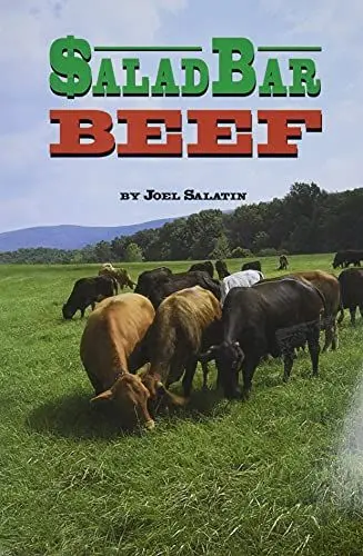 Produktbild: Salad Bar Beef