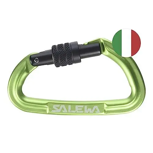 Produktbild: Salewa Hot G3 Screw Carabiner, Grün