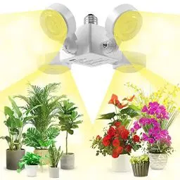 Produktbild: SANSI 30W Pflanzenlampe LED Vollspektrum, E27 Weiss Faltbare Grow light Glühbirne,High PPFD Pflanzenlicht für Zimmerpflanzen, Hydrokultur, Sukkulenten, Setzlinge, Gemüse, Blumen Gartenarbeit