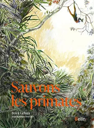 Produktbild: Sauvons les primates