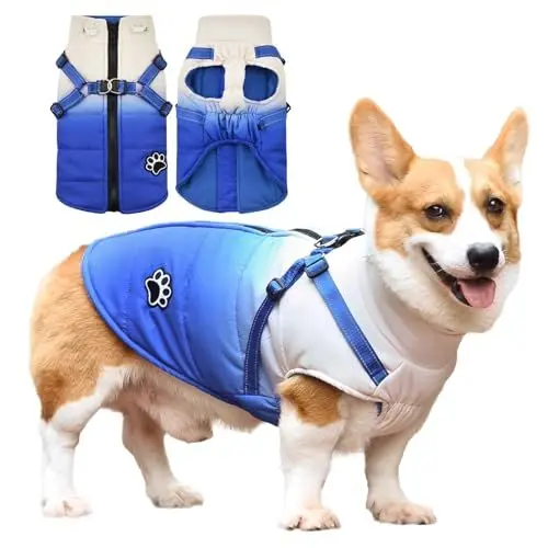 Produktbild: Savlot Hundejacken für den Winter Wasserdichter Hundemantel Winter Warme Jacke Welpen Winter Warme Jacke Kleines Hundejacke Outfit für kleine mittel Hunde(XS, Blau)