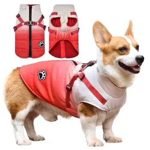 Produktbild: Savlot Wasserdicht Hundemantel Warme Fleece gefüttert Warme Winterjacke Hunde Bekleidung für Winter Reflektierend Welpen Winterweste (S, Rot)