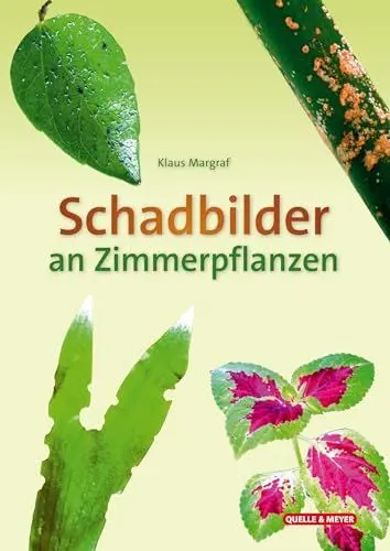 Produktbild: Schadbilder an Zimmerpflanzen (Quelle & Meyer Bestimmungskarten)