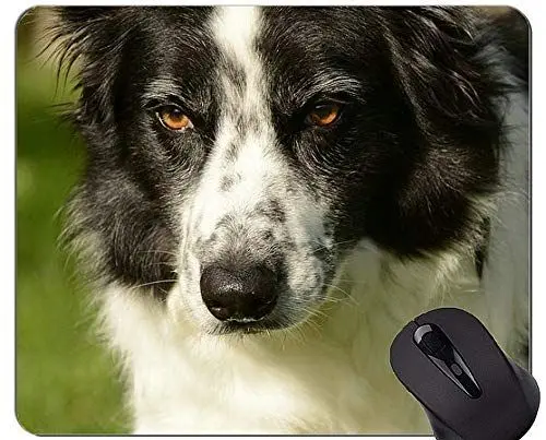 Produktbild: YENDOSTEEN Schäferhund-Freund-Hundemausunterlage, Collie-Mausunterlagen