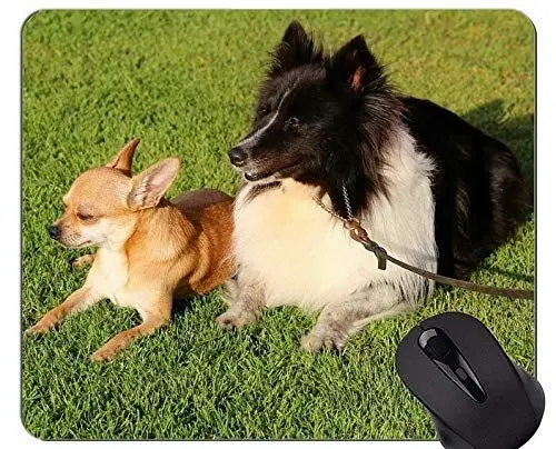 Produktbild: Schäferhund-Hunde Mousepad, kaukasische Mausunterlagen