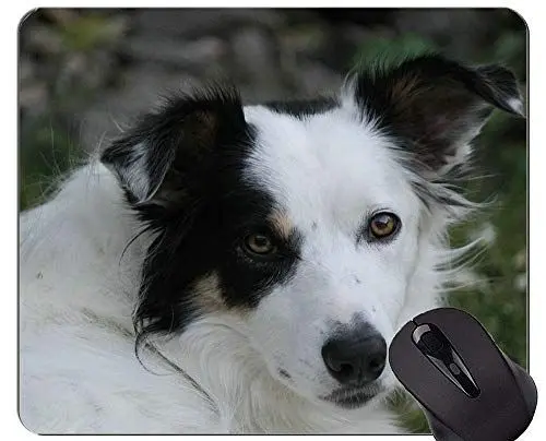 Produktbild: YENDOSTEEN Schäferhund-Welpen-Mausunterlage, Border-Collie-personalisierte Rechteck-Spiel-Mausunterlagen