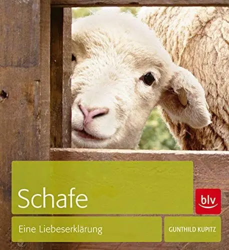 Produktbild: Schafe: Eine Liebeserklärung