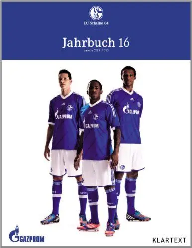 Produktbild: Schalke Jahrbuch 16: Saison 2012/2013