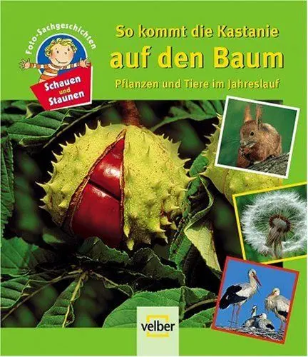 Produktbild: Schauen und Staunen, Bd. 7: So kommt die Kastanie auf den Baum. Pflanzen und Tiere im Jahreslauf. Foto-Sachgeschichten